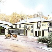 Karen Frampton, New Forest Artist, paintings, greeting cards, murals, slate, Hampshire, UK